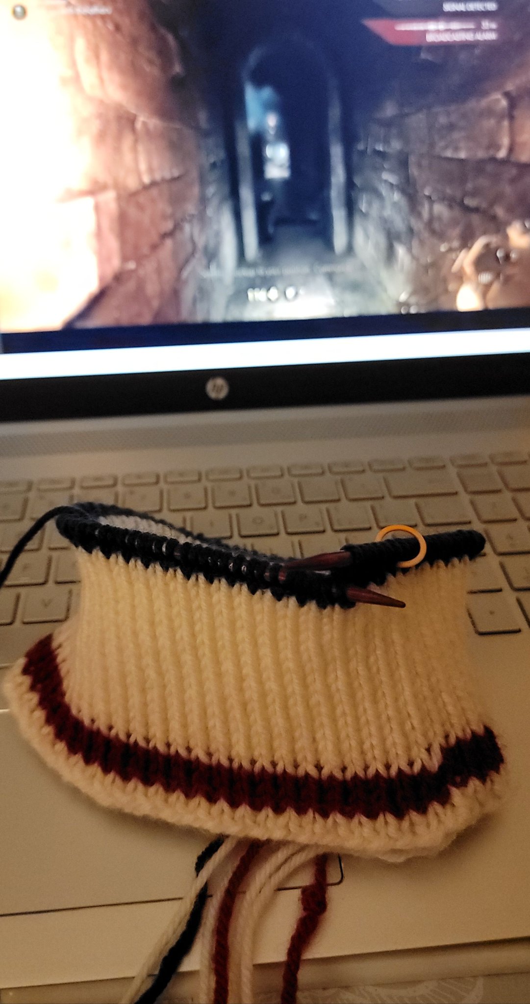 Knitting Progress Photo 5